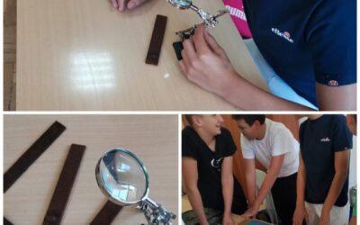 Projekt tigrasti komarci